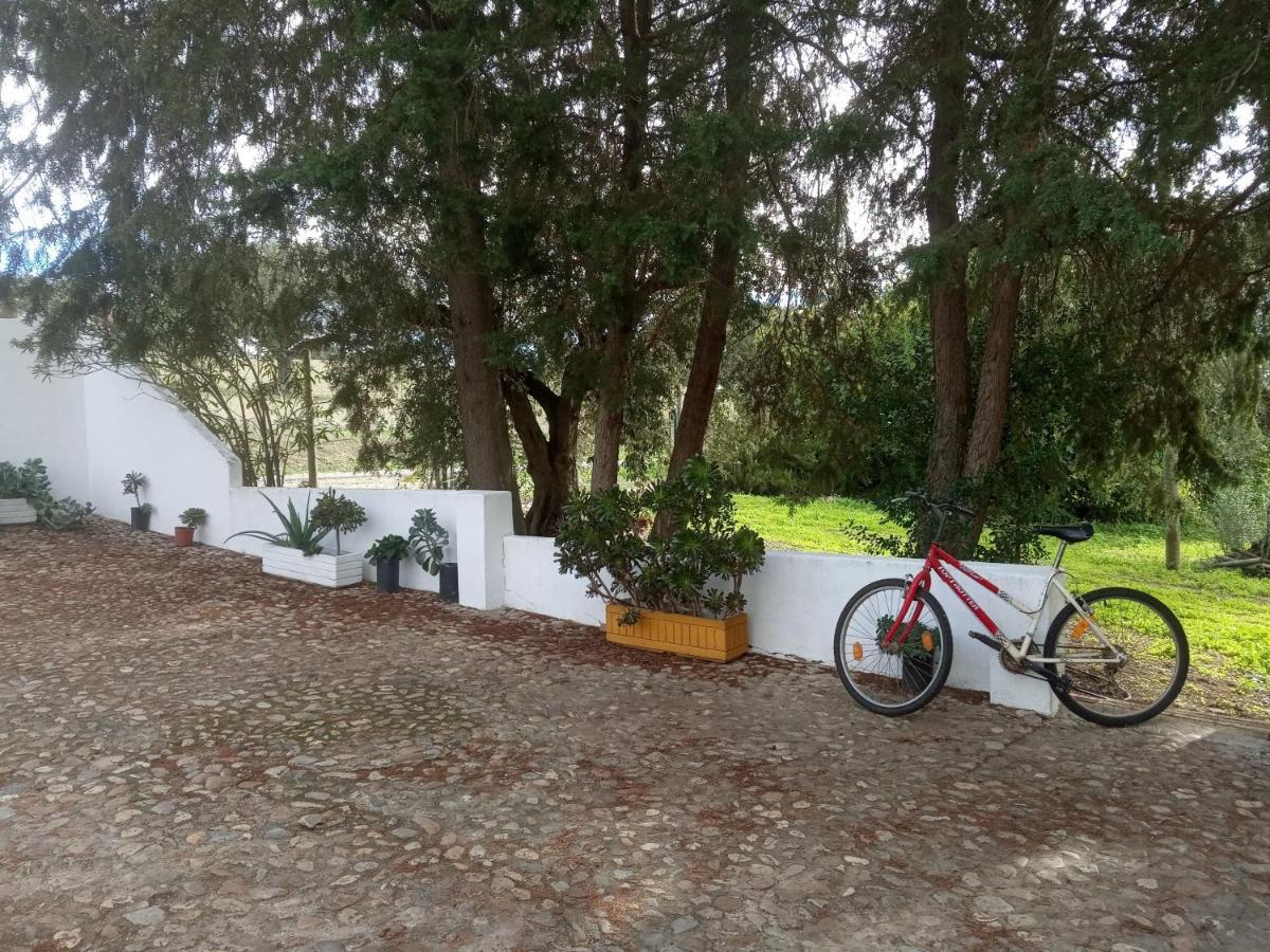 Vila Monte Da Samarra Avis Exteriér fotografie