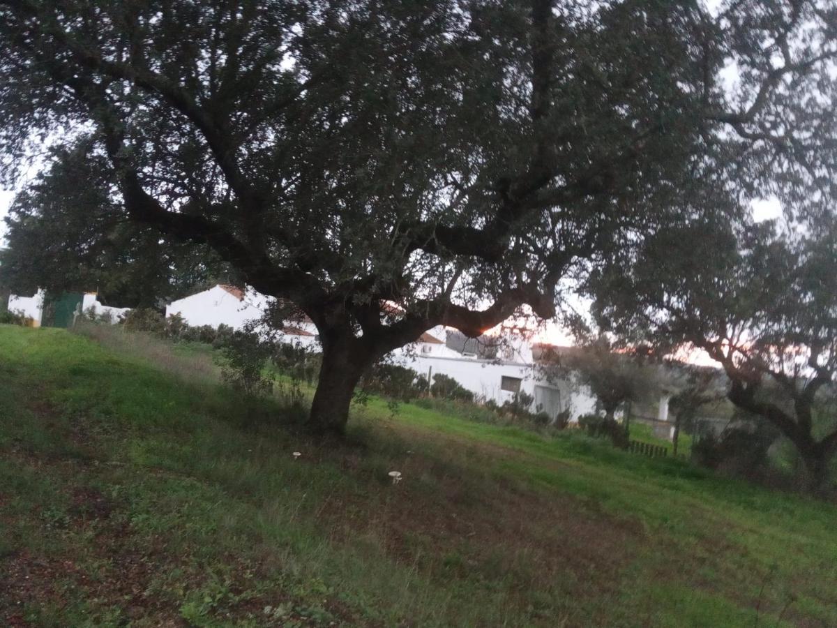 Vila Monte Da Samarra Avis Exteriér fotografie