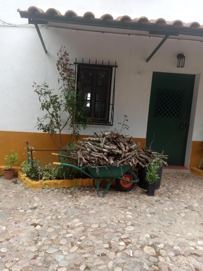Vila Monte Da Samarra Avis Exteriér fotografie
