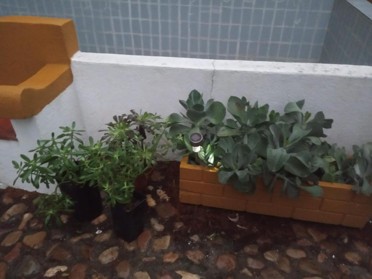 Vila Monte Da Samarra Avis Exteriér fotografie