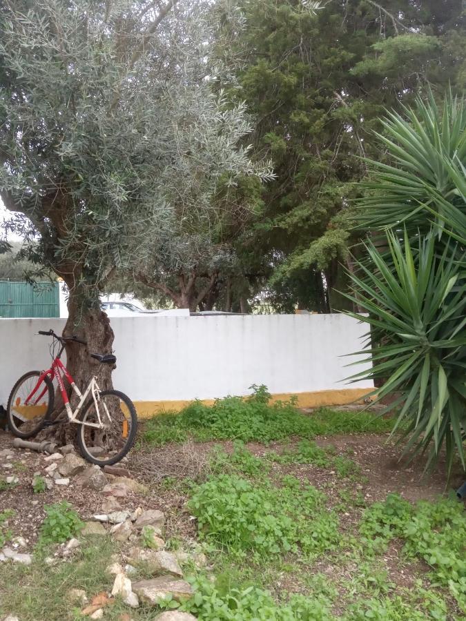 Vila Monte Da Samarra Avis Exteriér fotografie