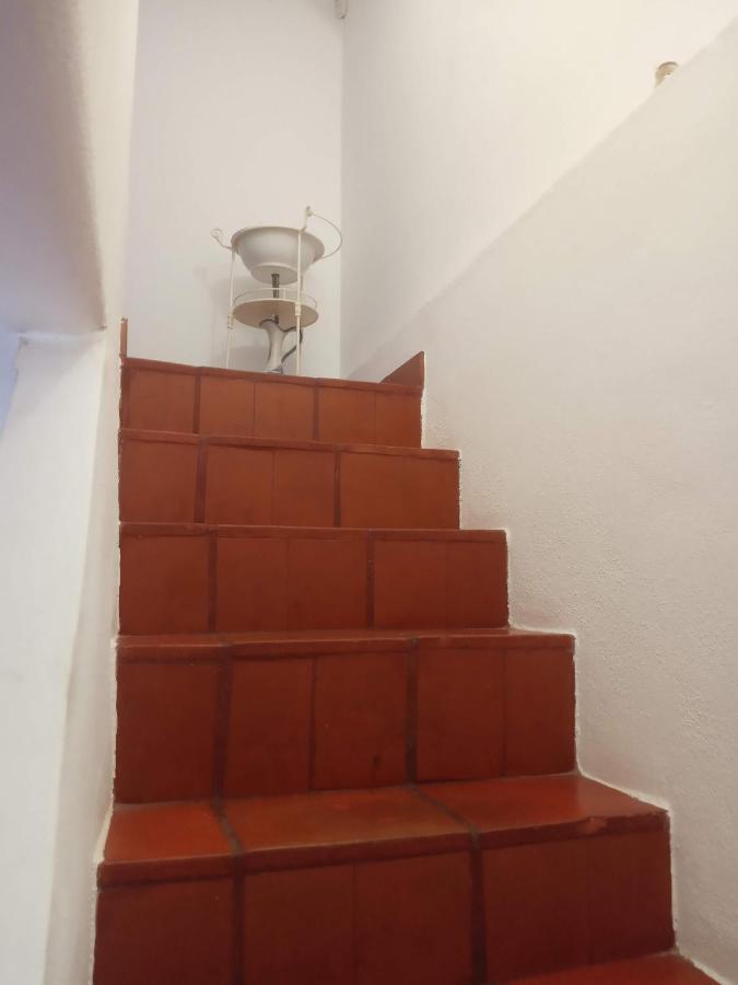 Vila Monte Da Samarra Avis Exteriér fotografie