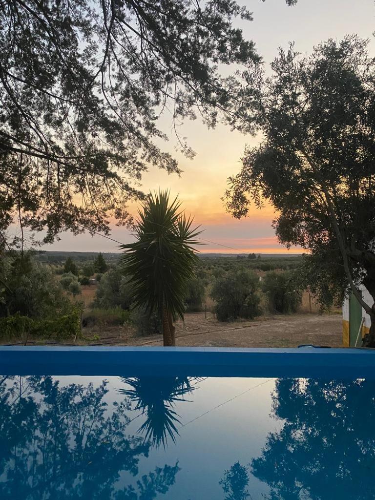 Vila Monte Da Samarra Avis Exteriér fotografie