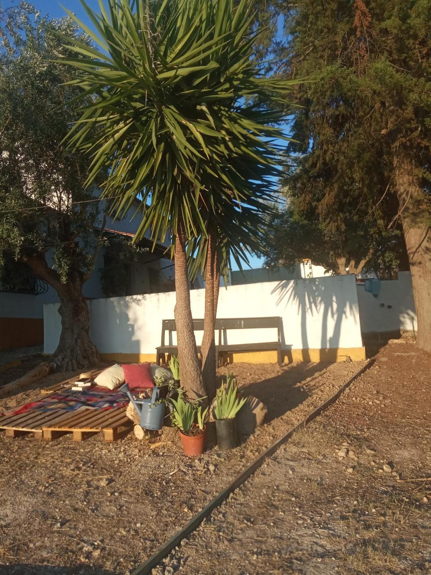 Vila Monte Da Samarra Avis Exteriér fotografie