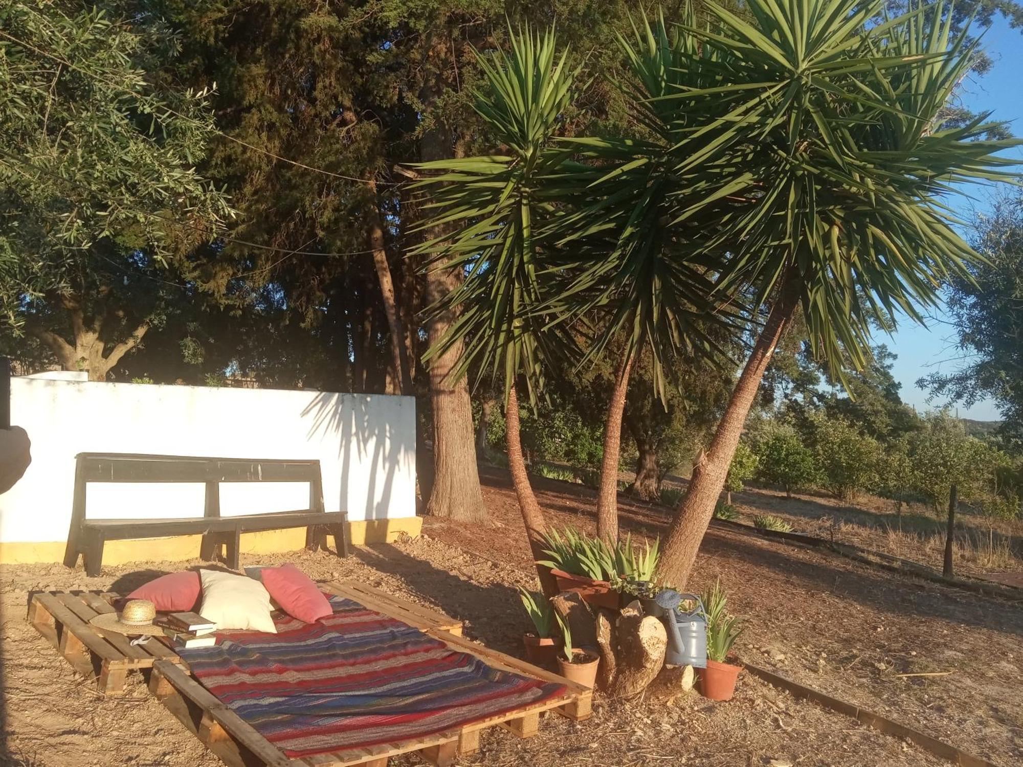 Vila Monte Da Samarra Avis Exteriér fotografie
