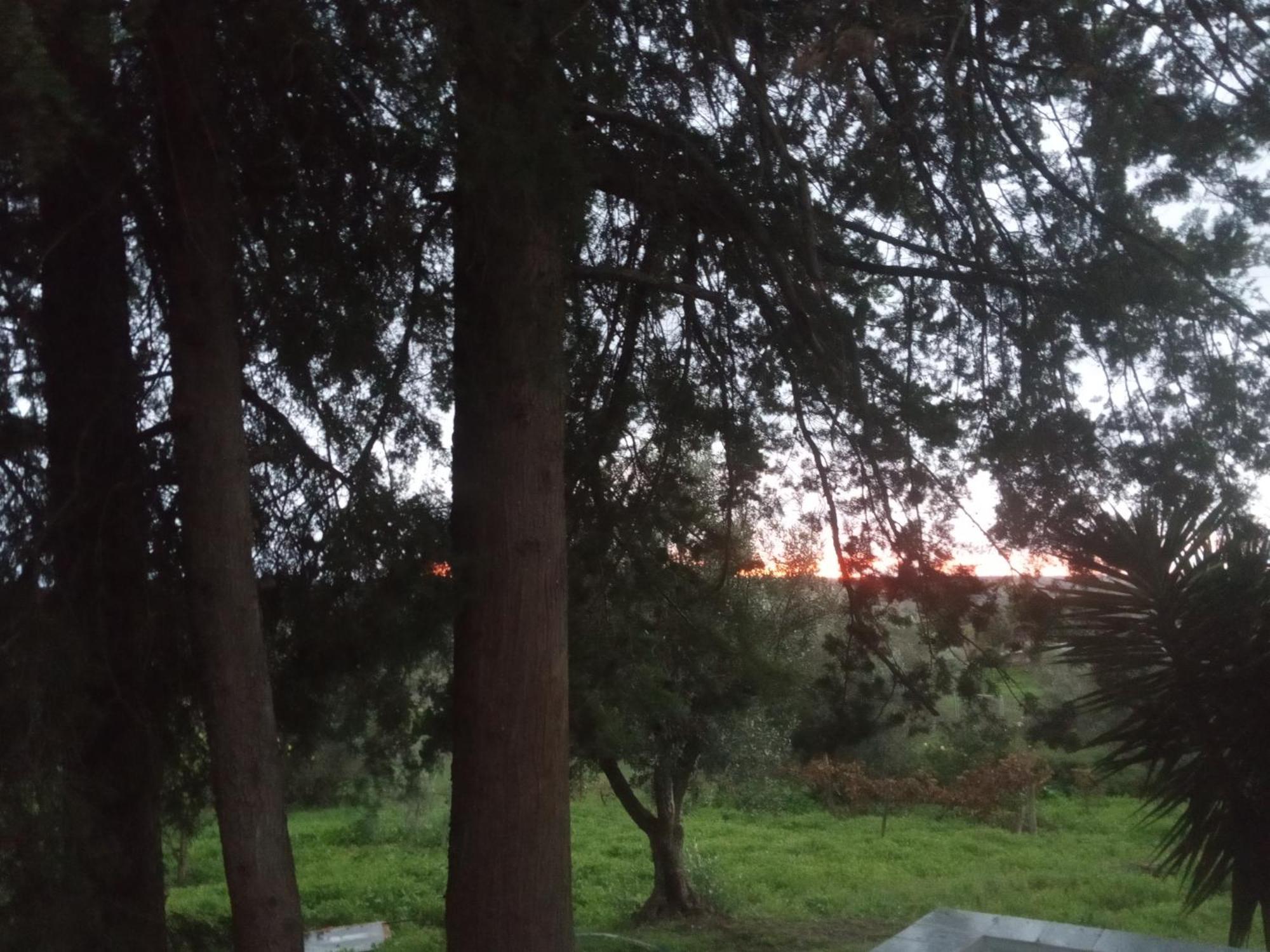 Vila Monte Da Samarra Avis Exteriér fotografie