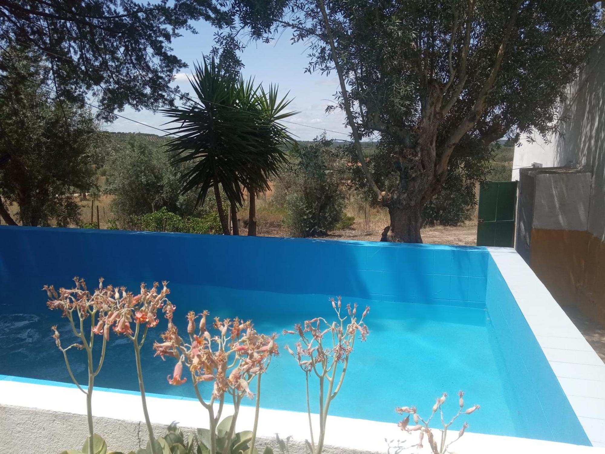 Vila Monte Da Samarra Avis Exteriér fotografie