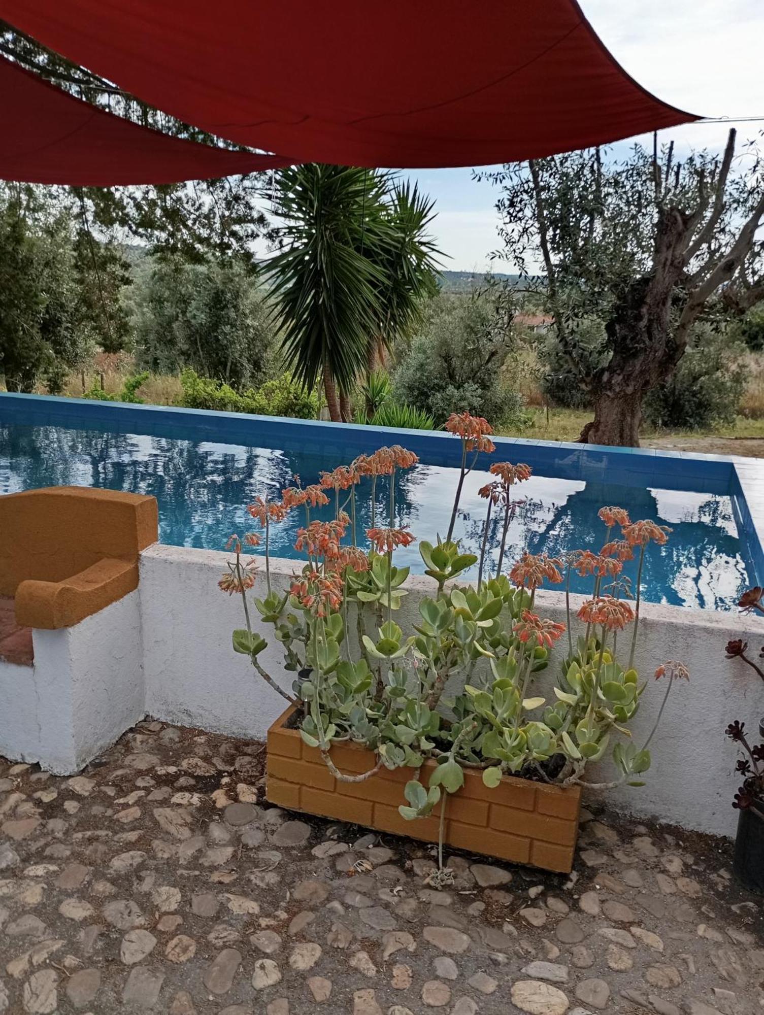 Vila Monte Da Samarra Avis Exteriér fotografie