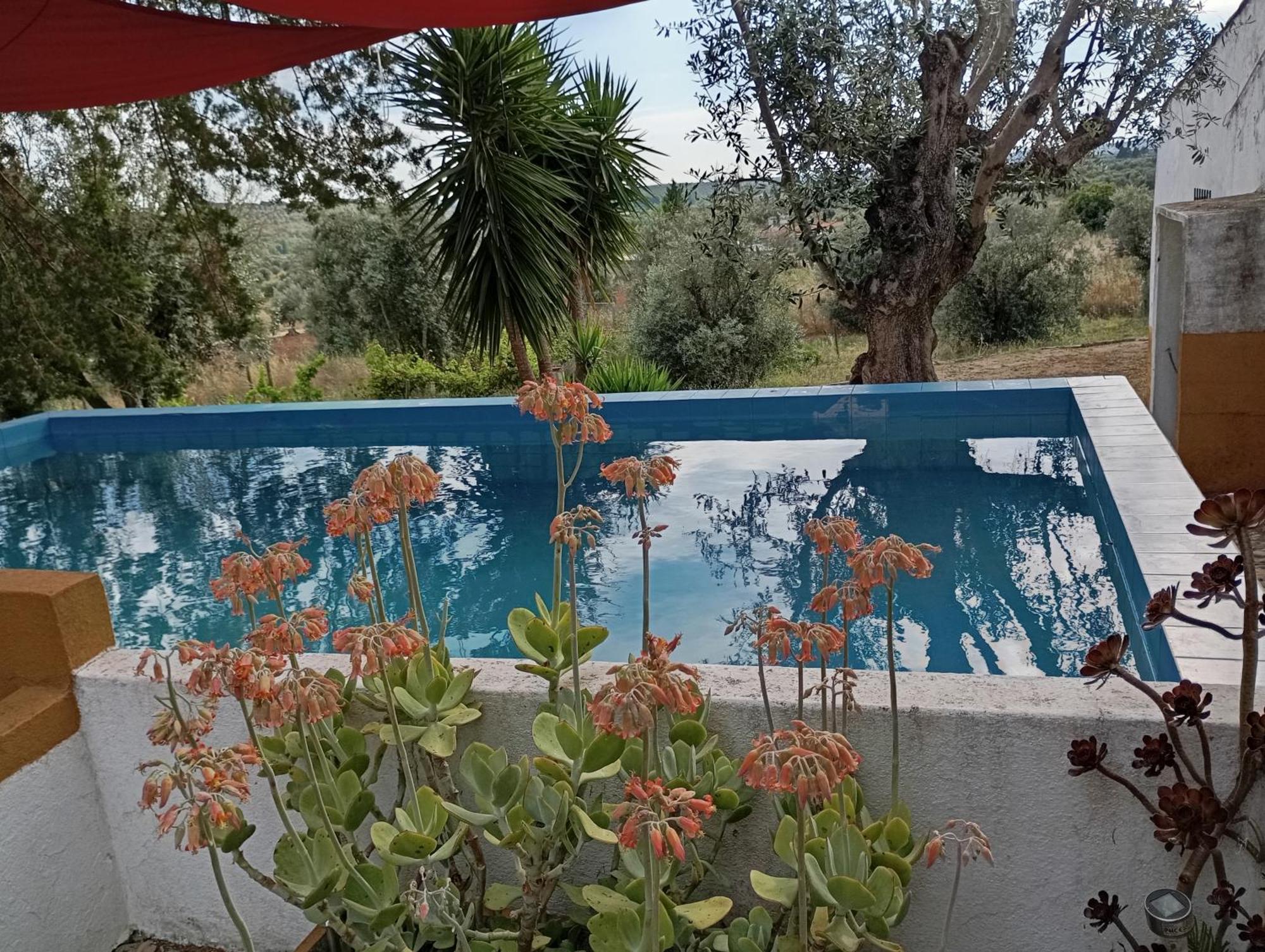 Vila Monte Da Samarra Avis Exteriér fotografie