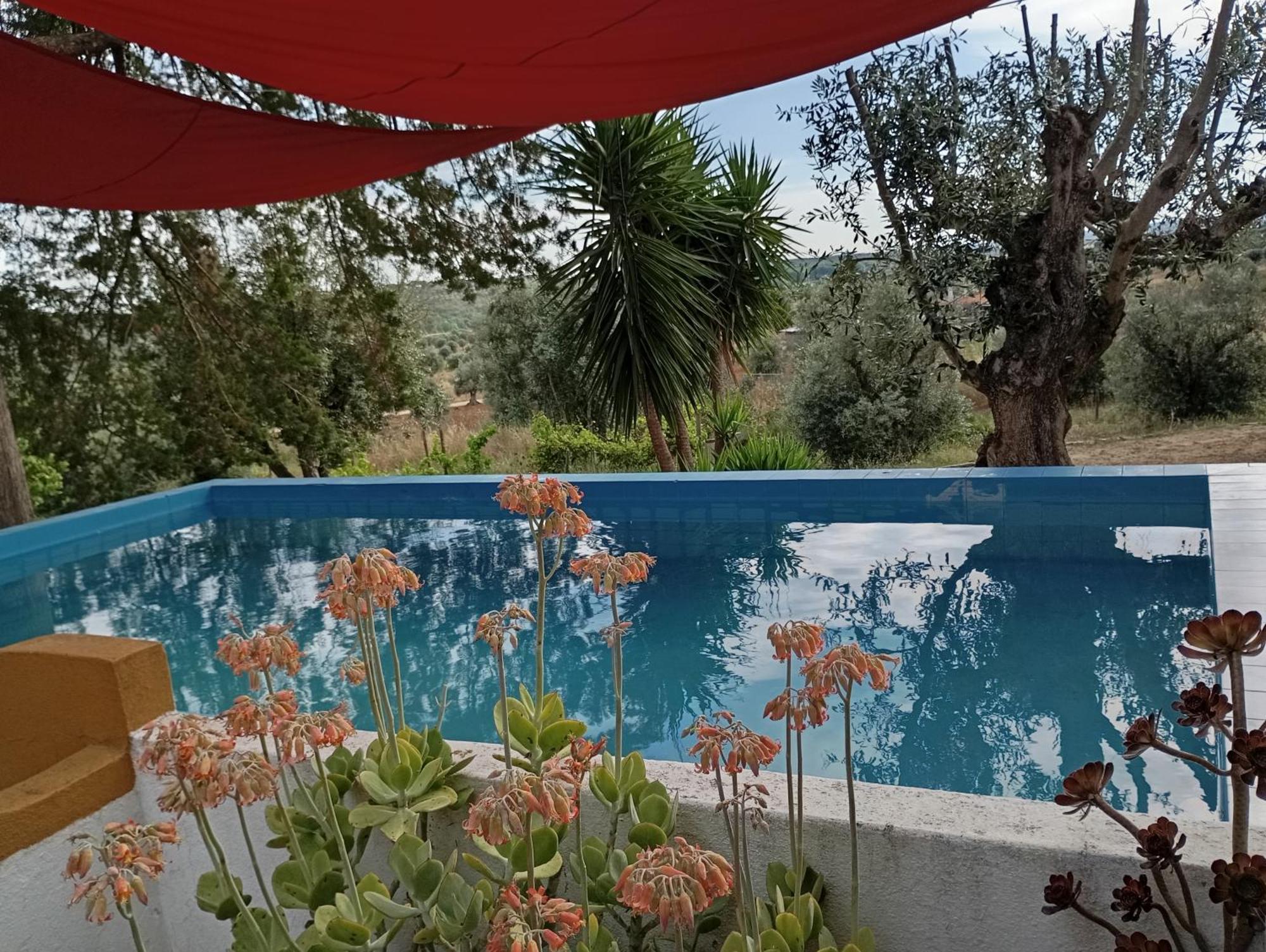 Vila Monte Da Samarra Avis Exteriér fotografie
